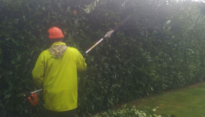 Hedge Work